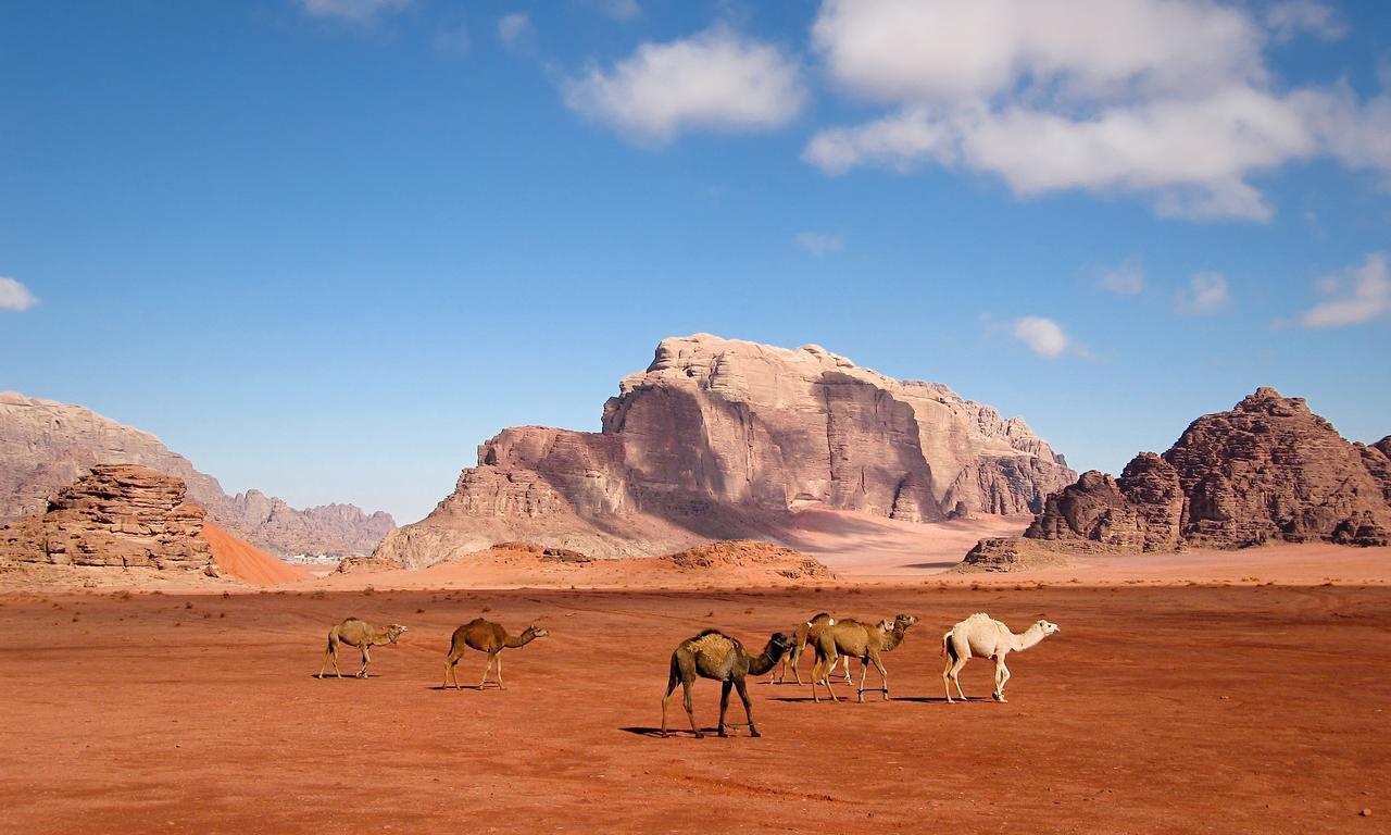 Wadi Rum Moon Light Camp Exterior foto