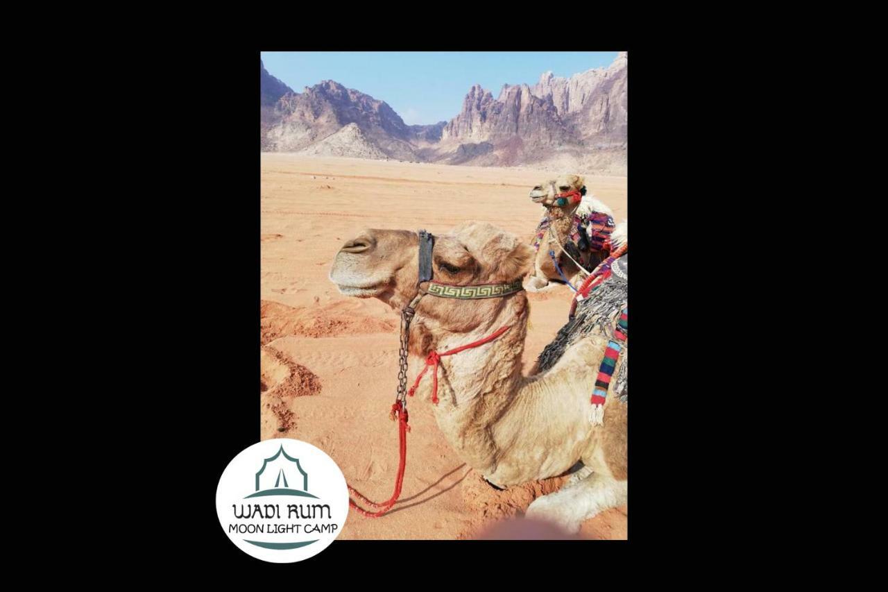Wadi Rum Moon Light Camp Exterior foto